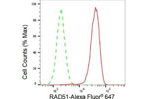 Flow cytometric analysis of RAD51 expression in HAP-1 cells using RAD51 antibody (ABIN7798366), 1:2,000). (Recombinant RAD51 anticorps)