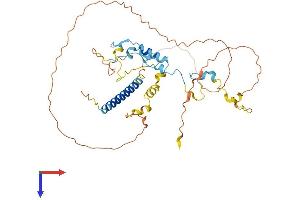 AlphaFold protein structure predicition of Mouse Recombinant Miip Protein, UniprotID A2A7Y5