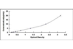 Typical standard curve (BLVRB Kit ELISA)
