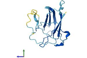 AlphaFold protein structure predicition of Human Recombinant MPTX1 Protein, UniprotID A8MV57