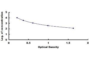 Typical standard curve