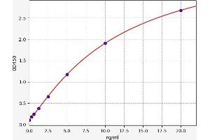 Typical standard curve