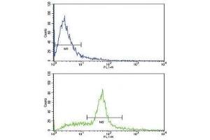 Flow cytometric analysis of WiDr cells using SCF antibody (green)