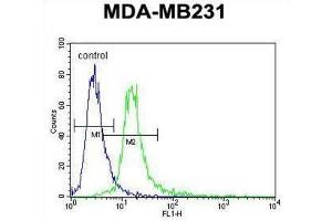 Flow Cytometry (FACS) image for anti-Ankyrin Repeat Domain 13C (ANKRD13C) antibody (ABIN3004051) (ANKRD13C anticorps)