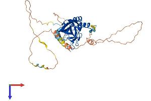 AlphaFold protein structure predicition of Human Recombinant TBX1 Protein, UniprotID O43435