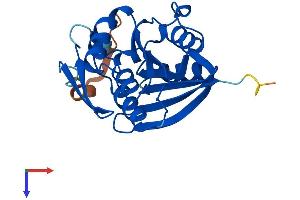AlphaFold protein structure predicition of Mouse Recombinant Mettl21A Protein, UniprotID Q9CQL0