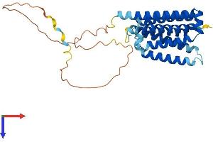 AlphaFold protein structure predicition of Mouse Recombinant Faim2 Protein, UniprotID Q8K097