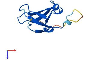 AlphaFold protein structure predicition of Human Recombinant DPH3 Protein, UniprotID Q96FX2