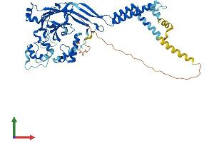 AlphaFold protein structure predicition of Mouse Recombinant Asic3 Protein, UniprotID Q6X1Y6