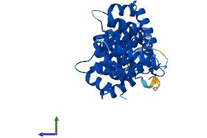 AlphaFold protein structure predicition of Human Recombinant ANXA8L1 Protein, UniprotID Q5VT79