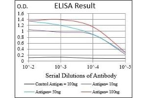 Black line: Control Antigen (100 ng), Purple line: Antigen(10 ng), Blue line: Antigen (50 ng), Red line: Antigen (100 ng), (MAP2K5 anticorps  (AA 63-180))