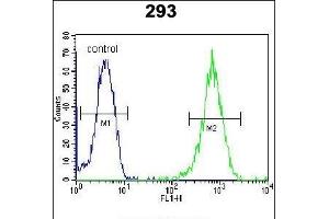 LARP6 Antibody (N-term) (ABIN654784 and ABIN2844464) flow cytometric analysis of 293 cells (right histogram) compared to a negative control cell (left histogram). (LARP6 anticorps  (N-Term))