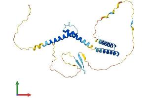 AlphaFold protein structure predicition of Mouse Recombinant Hes1 Protein, UniprotID P35428