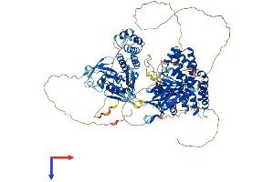 AlphaFold protein structure predicition of Human Recombinant FARP2 Protein, UniprotID O94887