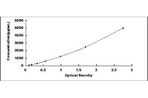 Typical standard curve (LOXL1 Kit ELISA)