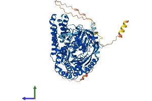 AlphaFold protein structure predicition of Mouse Recombinant Tfrc Protein, UniprotID Q62351