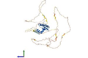 AlphaFold protein structure predicition of Human Recombinant MEF2C Protein, UniprotID Q06413