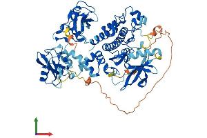 AlphaFold protein structure predicition of Human Recombinant SYK Protein, UniprotID P43405