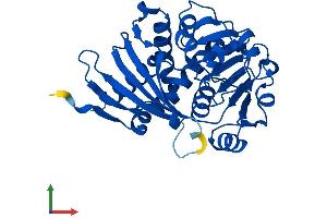 AlphaFold protein structure predicition of Mouse Recombinant Crym Protein, UniprotID O54983