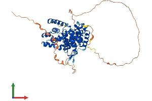 AlphaFold protein structure predicition of Mouse Recombinant Tbc1d10a Protein, UniprotID P58802