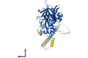 AlphaFold protein structure predicition of Human Recombinant VPS36 Protein, UniprotID Q86VN1