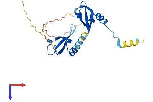 AlphaFold protein structure predicition of Mouse Recombinant Cbx5 Protein, UniprotID Q61686