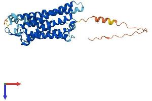 AlphaFold protein structure predicition of Human Recombinant P2RY8 Protein, UniprotID Q86VZ1