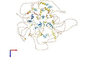 AlphaFold protein structure predicition of Human Recombinant EIF4ENIF1 Protein, UniprotID Q9NRA8