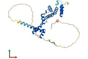 AlphaFold protein structure predicition of Mouse Recombinant Six2 Protein, UniprotID Q62232