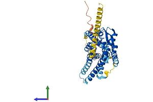AlphaFold protein structure predicition of Human Recombinant AGTR2 Protein, UniprotID P50052