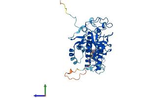 AlphaFold protein structure predicition of Mouse Recombinant Suv39h1 Protein, UniprotID O54864