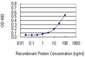 Detection limit for recombinant GST tagged CUL3 is 1 ng/ml as a capture antibody.