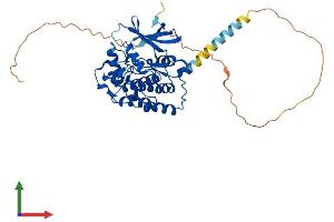 AlphaFold protein structure predicition of Mouse Recombinant Csnk1d Protein, UniprotID Q9DC28