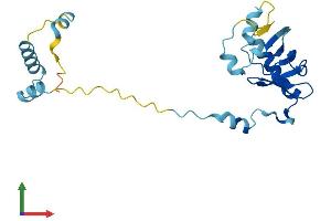 AlphaFold protein structure predicition of Human Recombinant POP4 Protein, UniprotID O95707