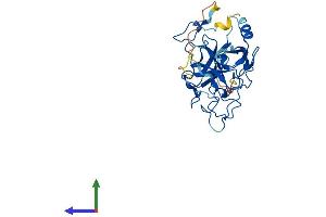 AlphaFold protein structure predicition of Mouse Recombinant Setmar Protein, UniprotID Q80UJ9