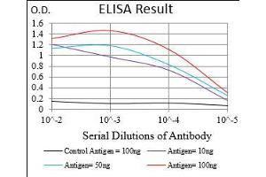 Black line: Control Antigen (100 ng), Purple line: Antigen(10 ng), Blue line: Antigen (50 ng), Red line: Antigen (100 ng), (TCL1A anticorps  (AA 10-104))