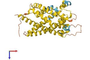 AlphaFold protein structure predicition of Human Recombinant UCP2 Protein, UniprotID P55851