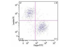 Flow Cytometry (FACS) image for Mouse anti-Human Ig (Chain lambda), (Light Chain) antibody (FITC) (ABIN487443) (Souris anti-Humain Ig (Chain lambda), (Light Chain) Anticorps (FITC))