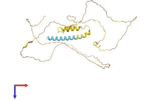 AlphaFold protein structure predicition of Human Recombinant PRRT2 Protein, UniprotID Q7Z6L0