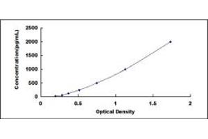 Complement Factor H-Related 5 (CFHR5) ELISA Kit
