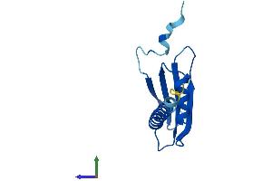 AlphaFold protein structure predicition of Human Recombinant POLR2J3 Protein, UniprotID Q9H1A7