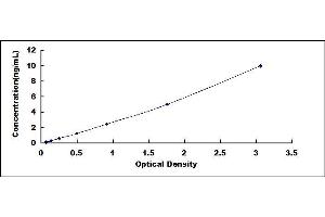 Typical standard curve (MMP16 Kit ELISA)
