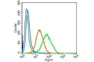 Human U937 cells probed with CD171 Polyclonal Antibody, Unconjugated  (green) at 1:100 for 30 minutes followed by a PE conjugated secondary antibody compared to unstained cells (blue), secondary only (light blue), and isotype control (orange).