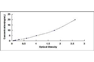 Typical standard curve (XPO5 Kit ELISA)