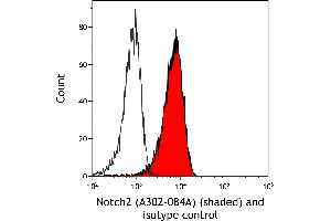 Flow Cytometry (FACS) image for anti-Notch 2 (NOTCH2) (AA 2421-2471) antibody (ABIN7454805) (NOTCH2 anticorps  (AA 2421-2471))