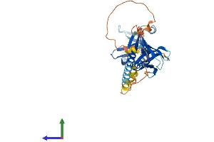 AlphaFold protein structure predicition of Human Recombinant DOK4 Protein, UniprotID Q8TEW6