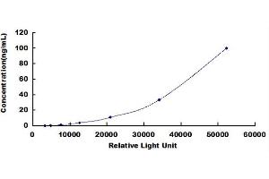 Typical standard curve (beta Actin Kit CLIA)