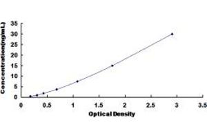Typical standard curve (MEPE Kit ELISA)