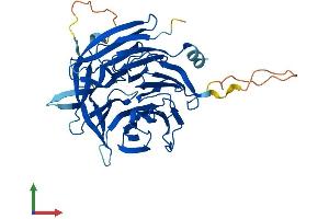 AlphaFold protein structure predicition of Human Recombinant EIPR1 Protein, UniprotID Q53HC9