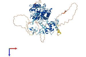 AlphaFold protein structure predicition of Human Recombinant ZRANB1 Protein, UniprotID Q9UGI0